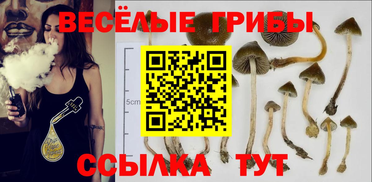 Галлюциногенные грибы MAGIC MUSHROOMS Кушва